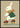 Inline Skating Bunny plakat