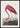 Pink Flamingo - Birds of America plakat