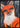 Orange Ræv plakat