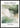 Kōbō Hikari Whispering Greens plakat