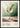 Classic Cocktails Gin and Tonic plakat