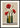 Poesia Botanica plakat