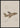 Browny Fly plakat