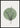 Nature's Echo plakat