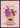 Rose Brand Blomsterplakat