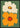 Flower Power 1 plakat