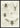 Sketches Of Beetles And Insects plakat
