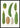 Cucumbers fra Album Benary plakat