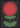 Crimson Blossom plakat