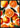 Evergreen Tropical Summer Fruits Oranges plakat