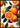 Evergreen Tropical Sommerfrugter Plakat