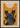 Sort Kat Magic plakat