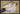 The Sofa af Toulouse-Lautrec plakat