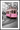 Pink tram plakat