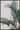 Palme plakat