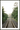 Trail plakat