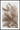 Golden leaves plakat