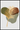 Plant art no. 1 plakat