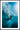 The surfer
