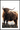 Highlander plakat