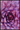Purple succulent plakat