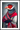Veteranen plakat