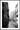 venedig sort/hvid Plakat