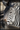 Zebra plakat