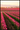 Tulips plakat